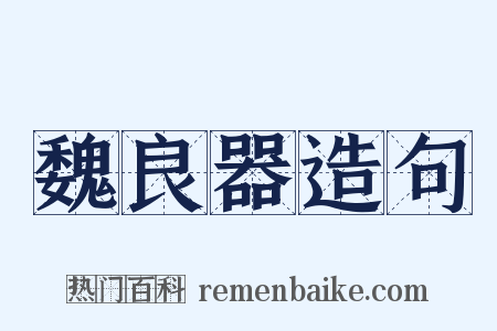 魏良器造句是什么意思的图片